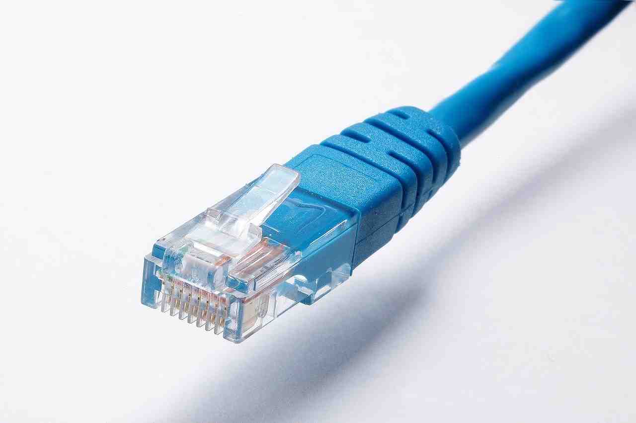 câble réseau, réseau, câble